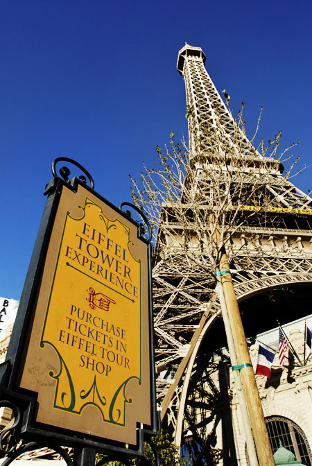 Bello Photography - Cape Cod Wedding Photographers