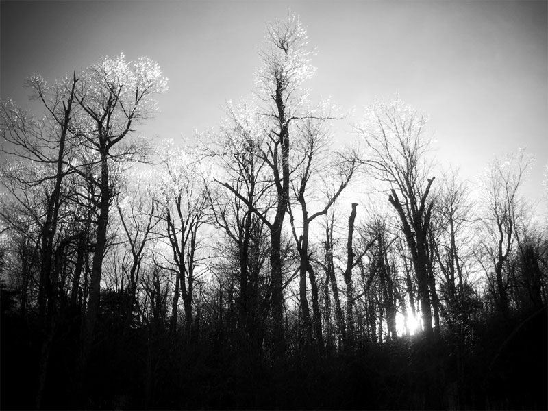 Bello Photography - Cape Cod Wedding Photographers