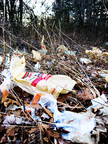 Bello Photography - Cape Cod Photographers