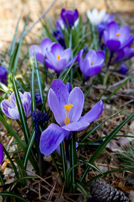 Bello Photography - Cape Cod Photographers