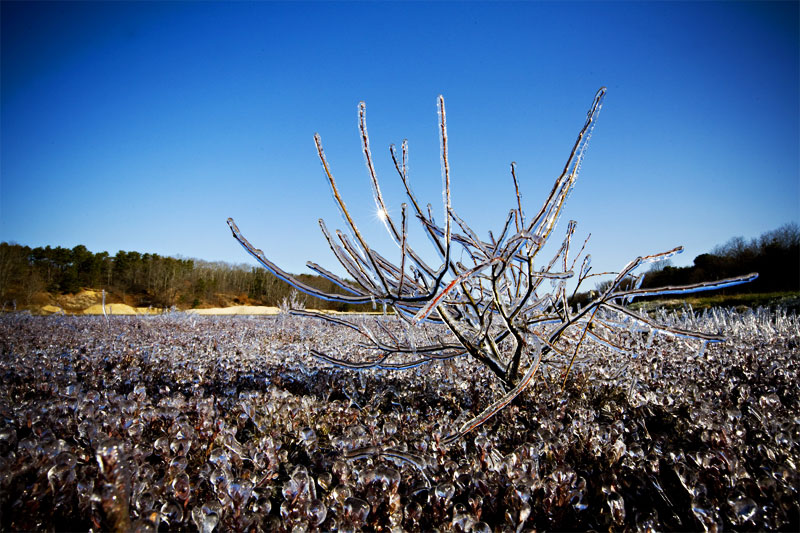 Bello Photography - Cape Cod Wedding Photographers