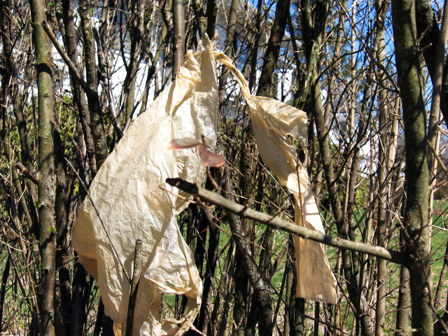 plastic-bag-three.jpg