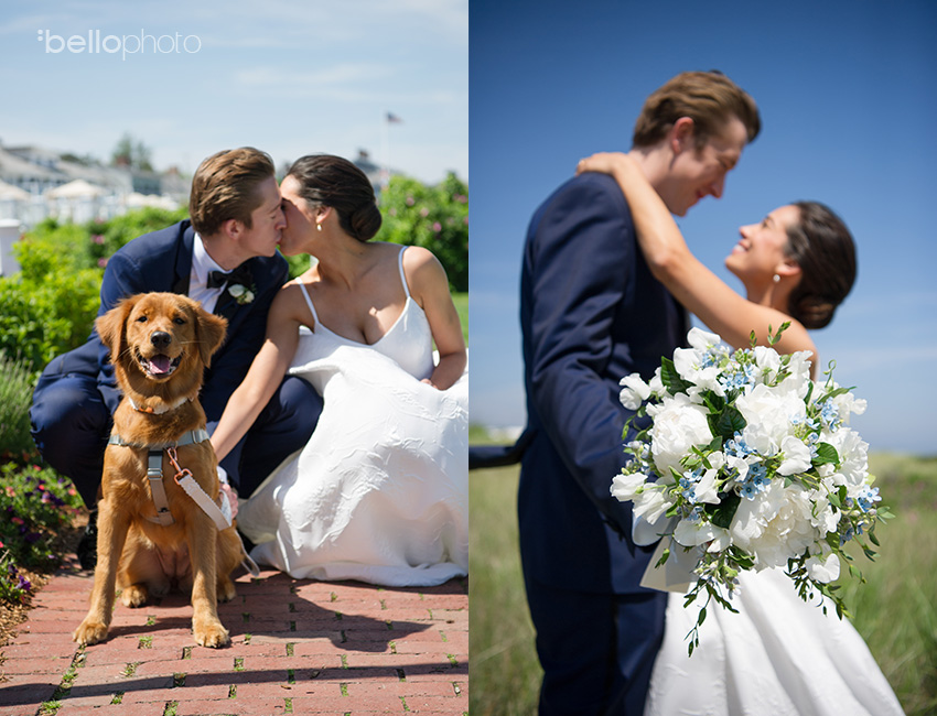 chatham bars inn wedding with dog